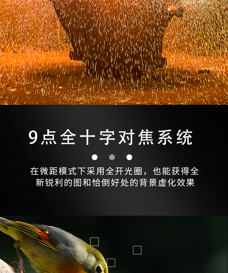 防爆相機Excam1805