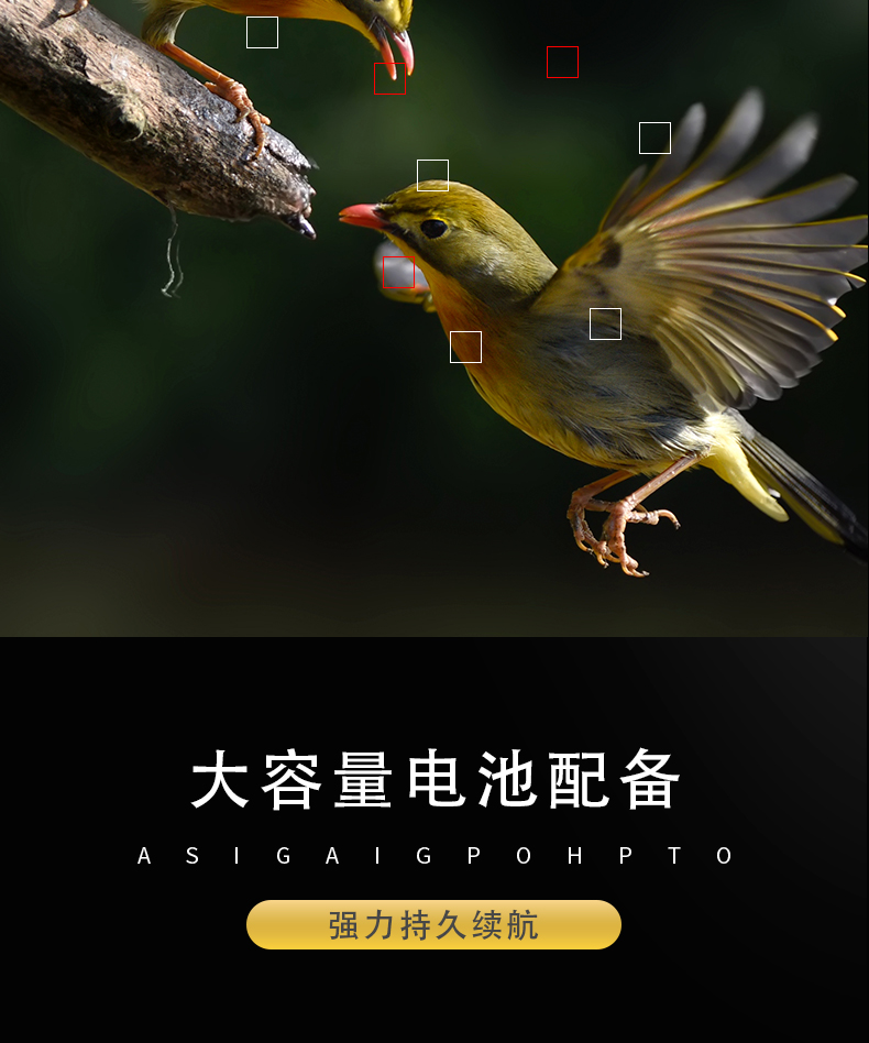 防爆（bào）相機（jī）Excam1805