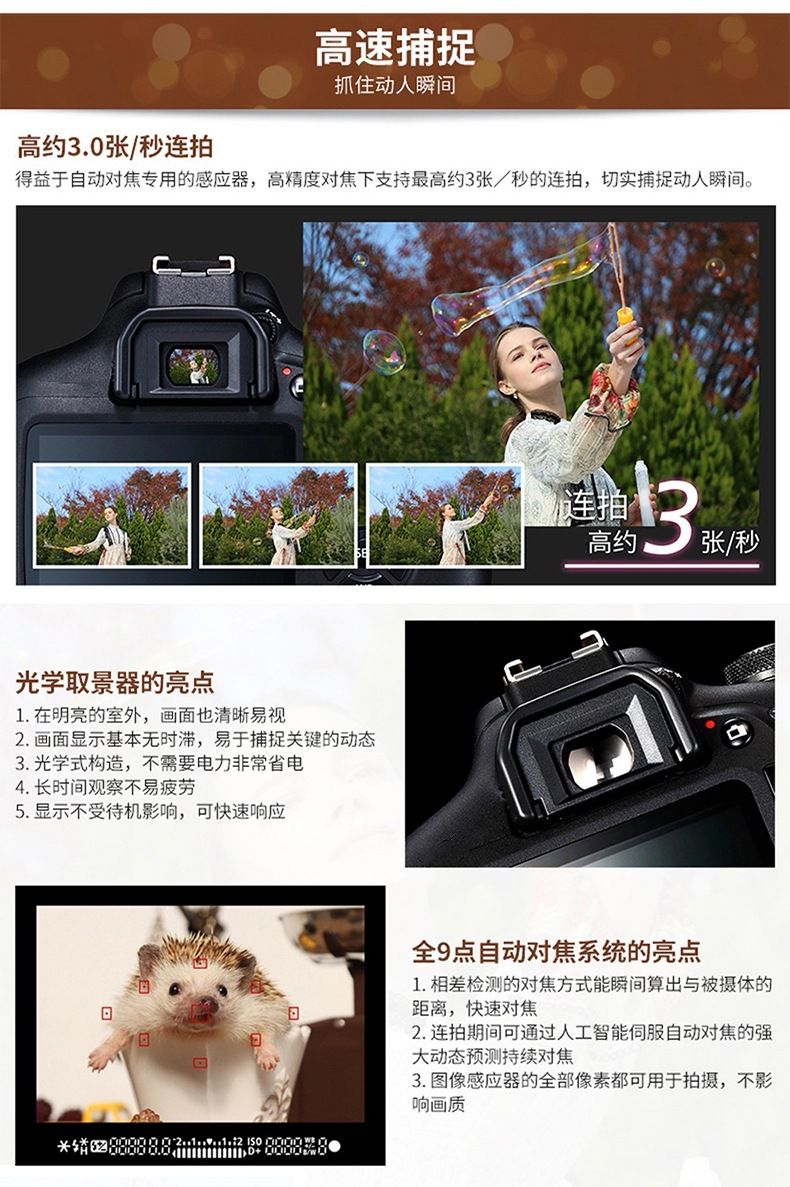 防（fáng）爆相機詳情6